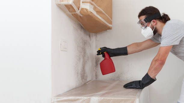 Professional Mold Inspection And Testing technician working in Brighton, MA